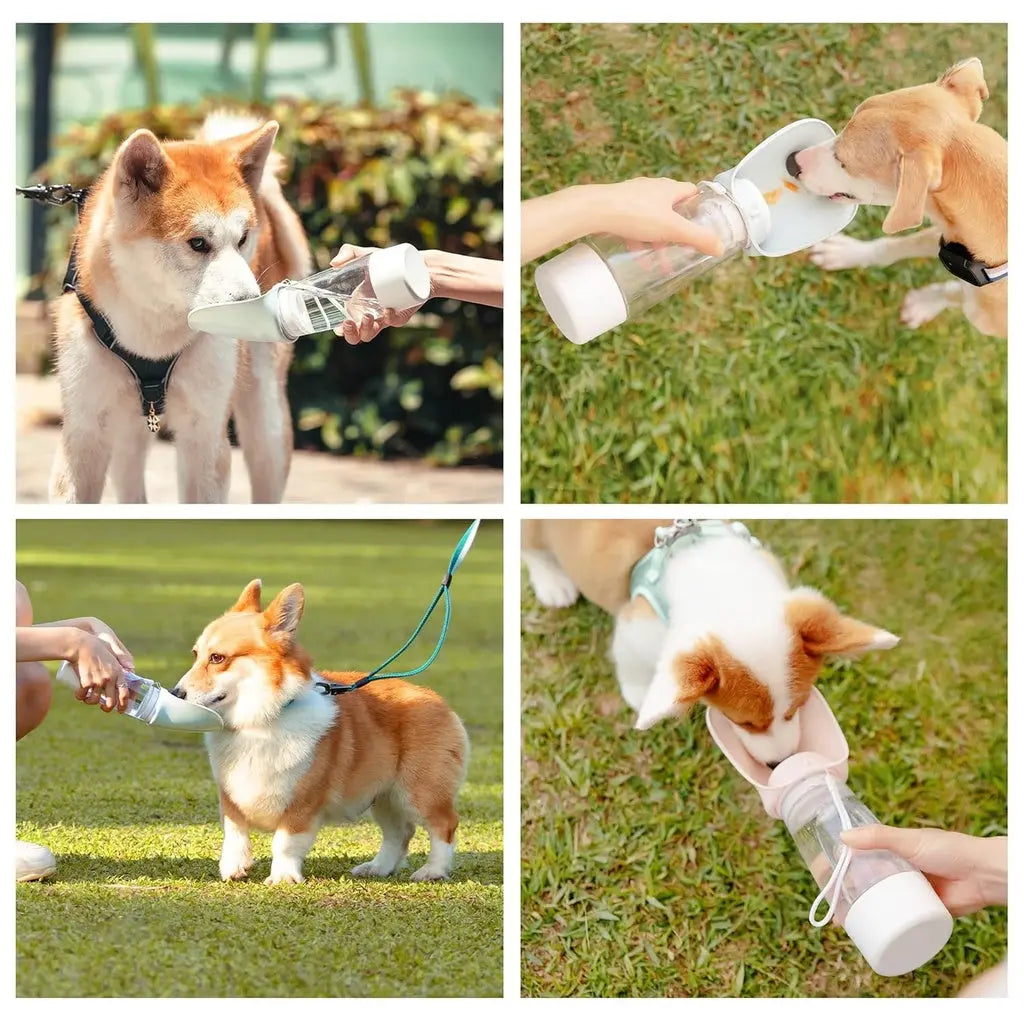 DOGNESS WATER BOTTLE WITH FOOD STORAGE Dogness