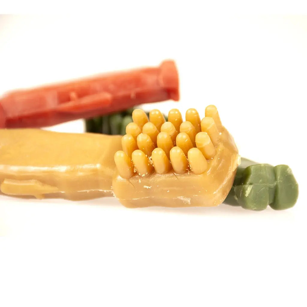 DUVO+ GARDEN BITES TOBY TOOTHBRUSH Duvo+