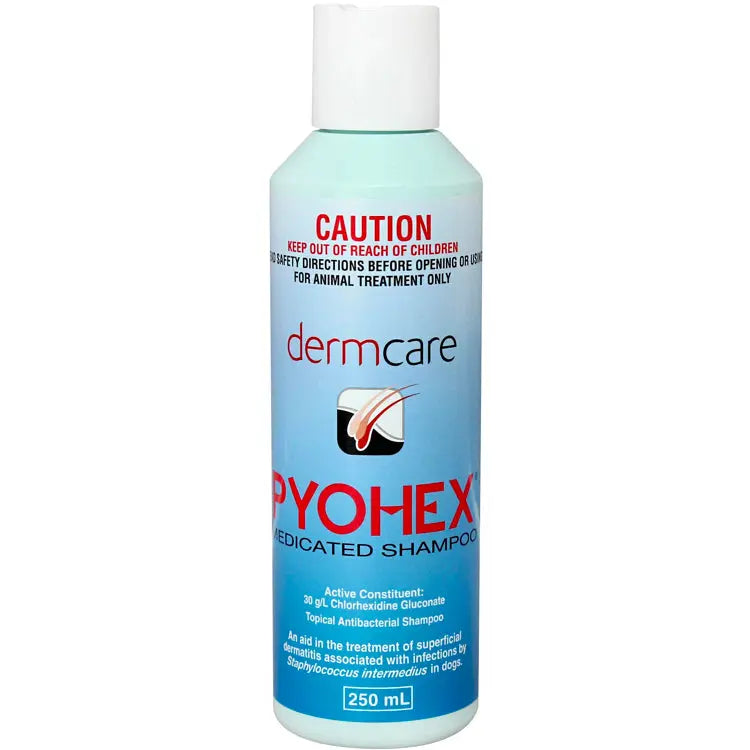 DERMCARE PYOHEX MEDICATED PET SHAMPOO 250 ML Dermcare