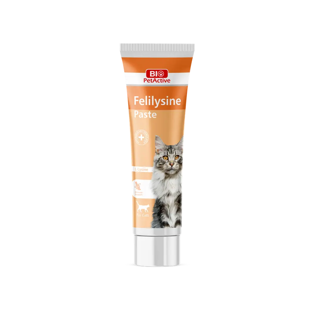 BIO PETACTIVE FELILYSINE GEL (L-LYSINE GEL FOR CATS) 100ML Bio PetActive
