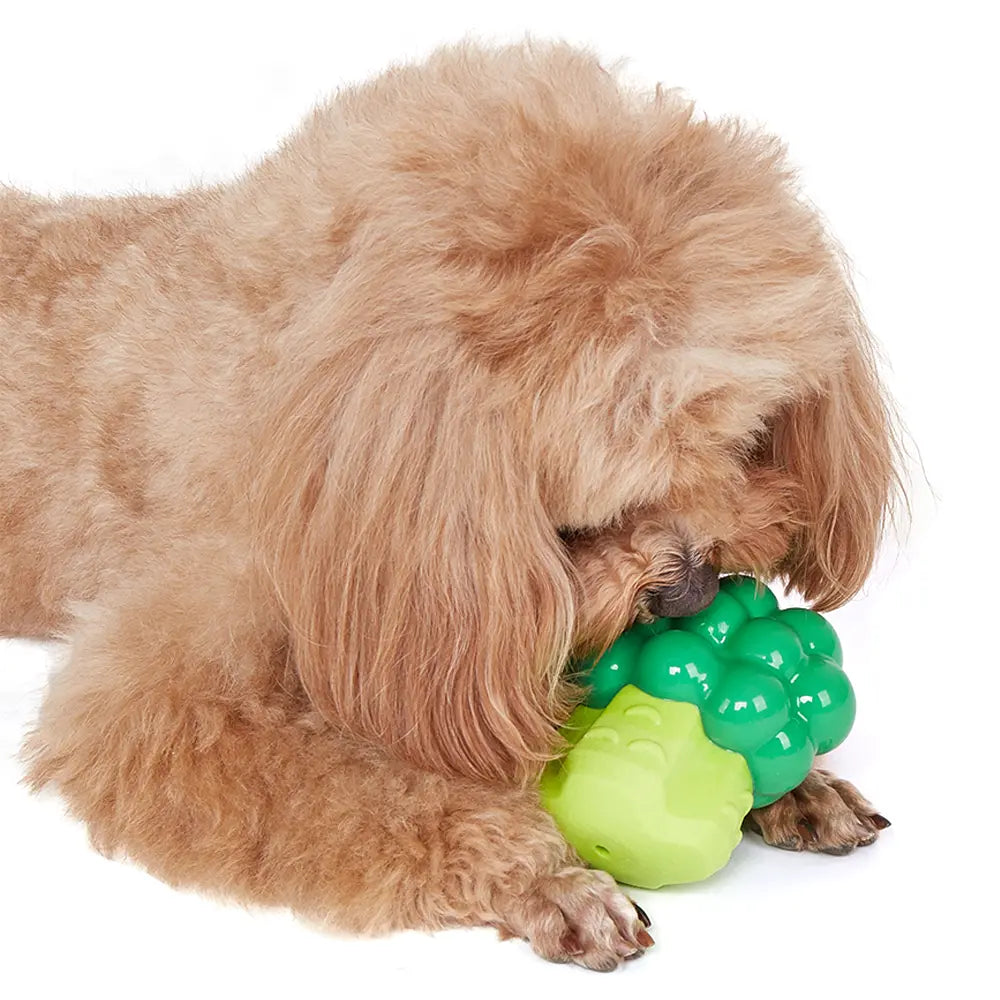 FOFOS BROCCOLI GIGGLING VEGI-BITES DOG TOY FOFOS