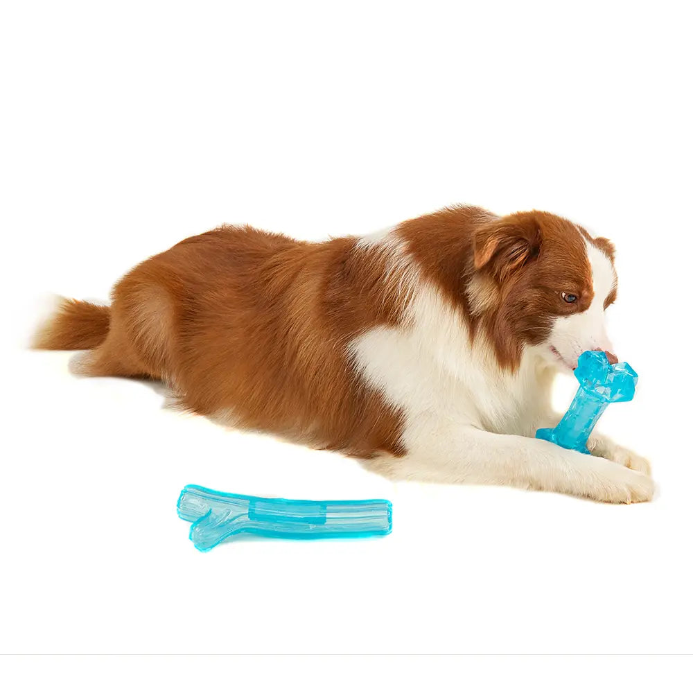 FOFOS CHILL & CHEW COOLING BONE DOG TOY FOFOS
