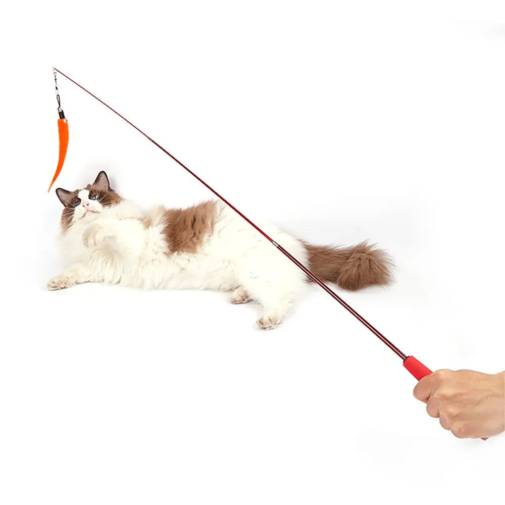 FOFOS RETRACTABLE WORM CAT WAND CAT TOY FOFOS