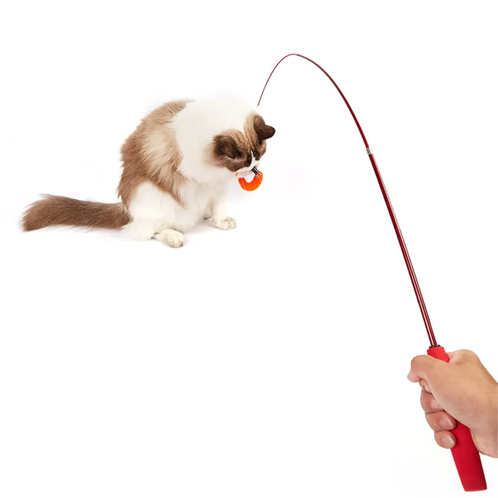 FOFOS RETRACTABLE WORM CAT WAND CAT TOY FOFOS