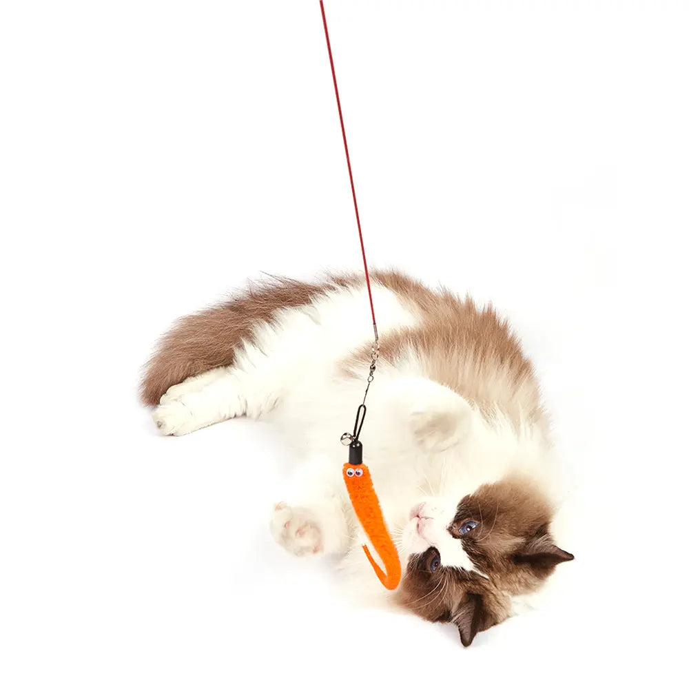 FOFOS RETRACTABLE WORM CAT WAND CAT TOY FOFOS