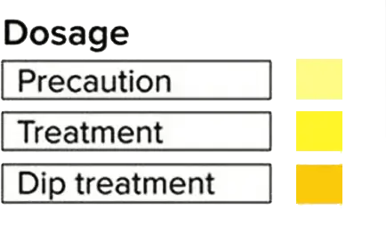 HORIZONE DOCT DR BACTERIA DOCT