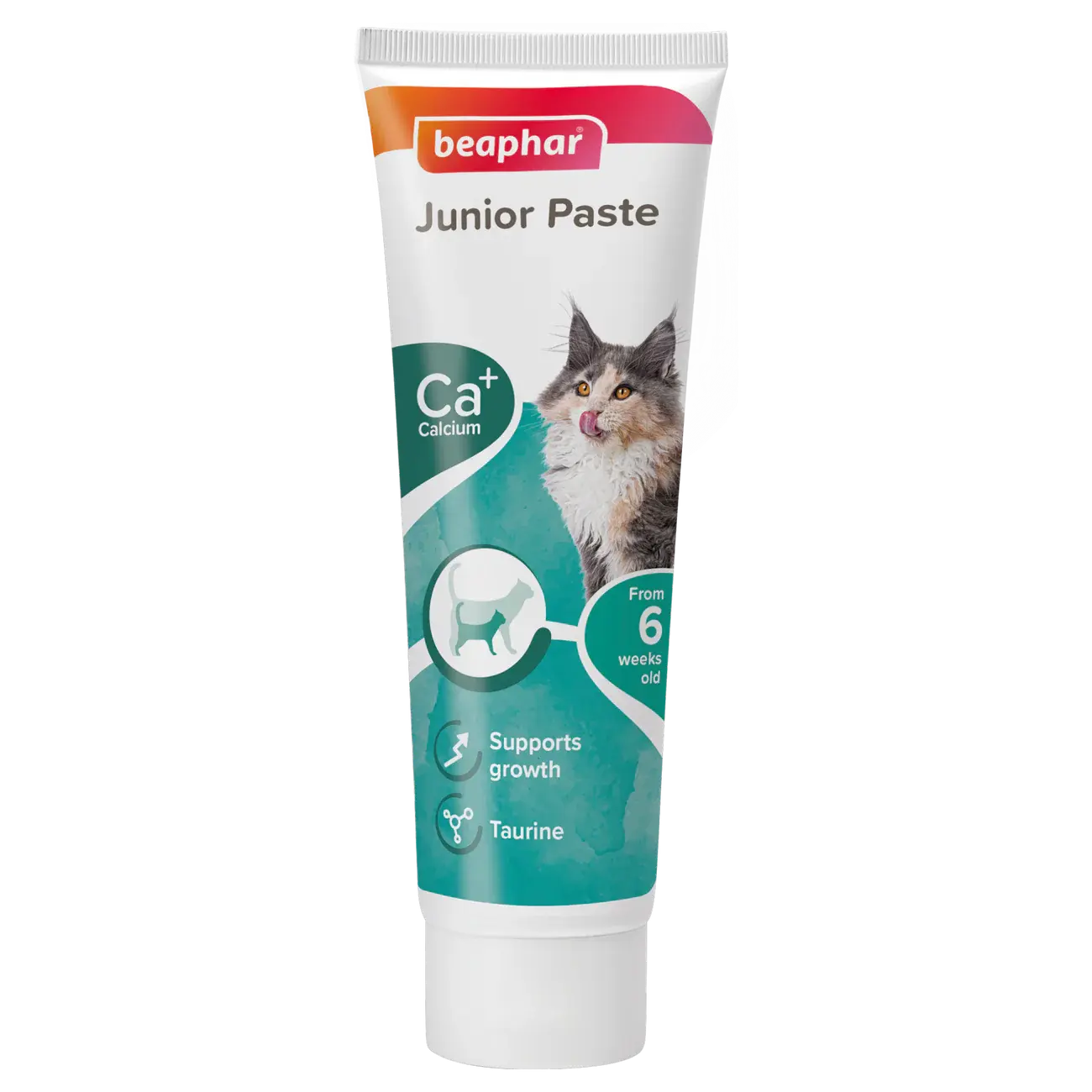 Junior Paste for Cats 100 g BEAPHAR
