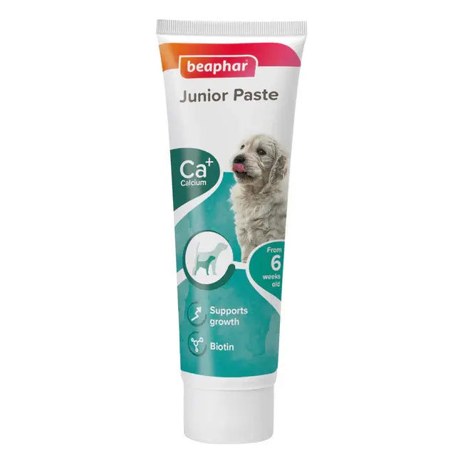 Junior Paste for Dogs 100 g BEAPHAR
