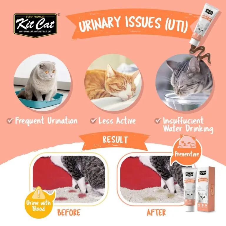 KIT CAT DAILY NUTRIONAL SUPPLEMENT GEL FOR CATS & KITTENS URINARY CARE 120G KIT CAT