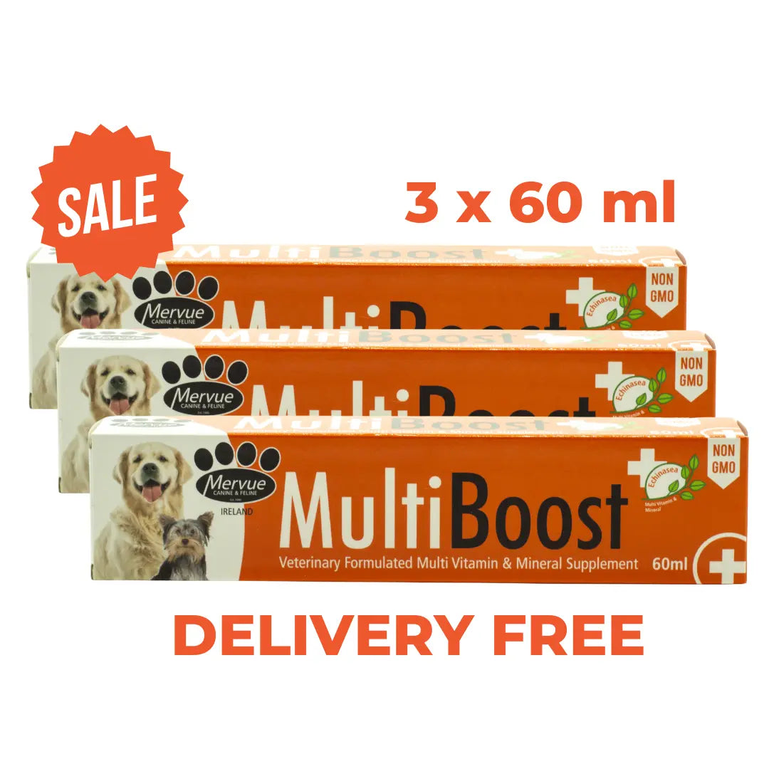 MERVUE MULTI BOOST PASTE FOR DOGS 60 ml | Pack of 3 Mervue Laboratories