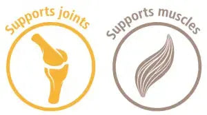 AMINO BOOST MUSCLE BUILDER FOR DOG 700 Gm Mervue Laboratories