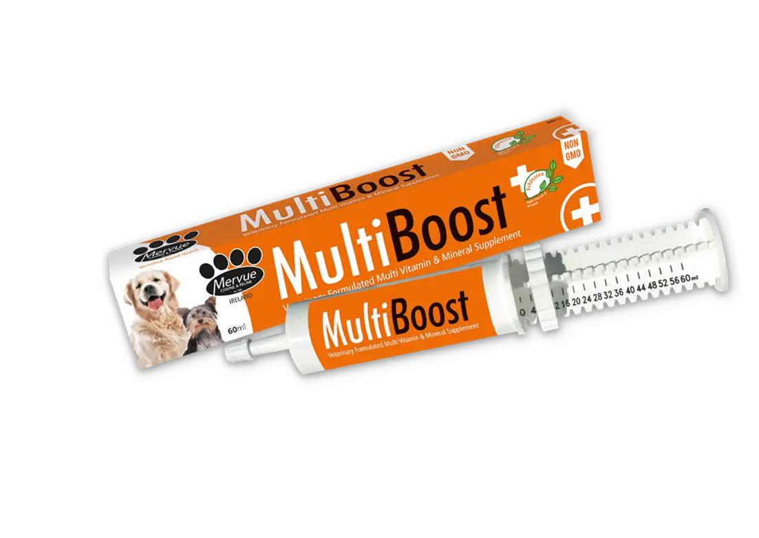 MERVUE MULTI BOOST PASTE FOR DOGS 60 ml | Pack of 3 Mervue Laboratories