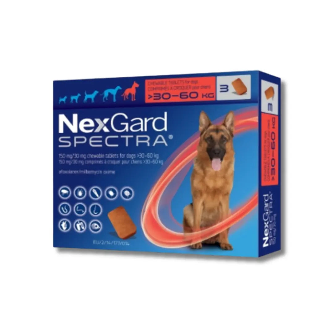 NEXGARD SPECTRA ANTIPARASITIC & DEWORMING CHEWS FOR DOG 30.1 - 60KG Zoetis