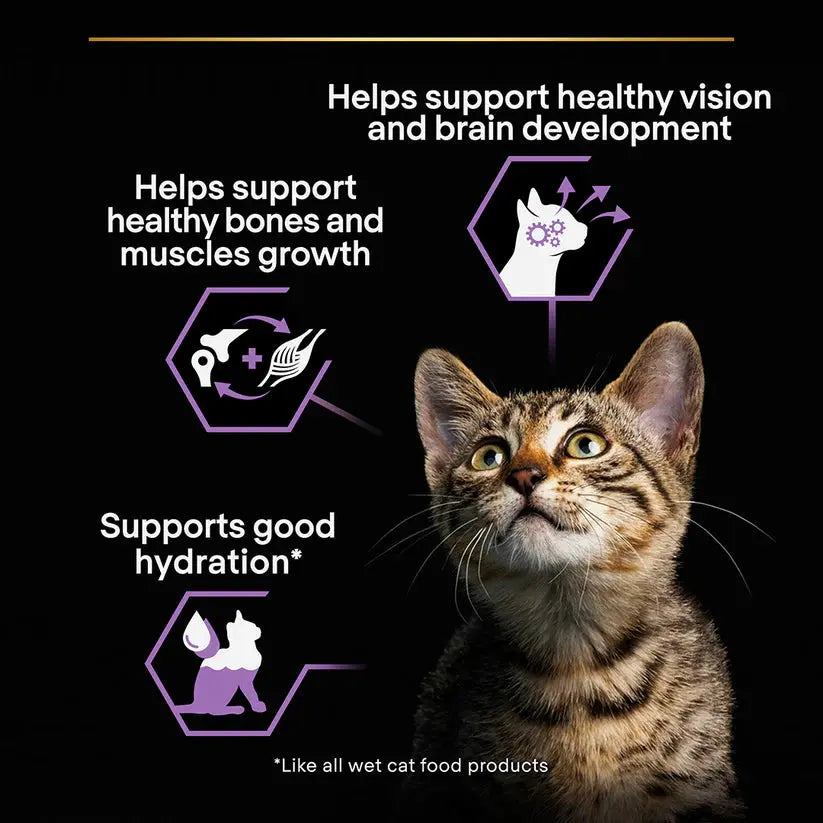 PRO PLAN KITTEN, WET CAT FOOD WITH TURKEY GRILLED IN GRAVY, 26 X 85G Purina Pro Plan