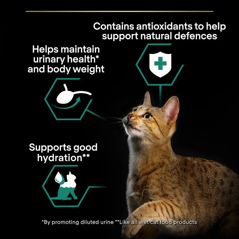 PRO PLAN STERILISED ADULT WET CAT FOOD WITH CHICKEN GRILLED IN GRAVY, 26 X 85G Purina Pro Plan