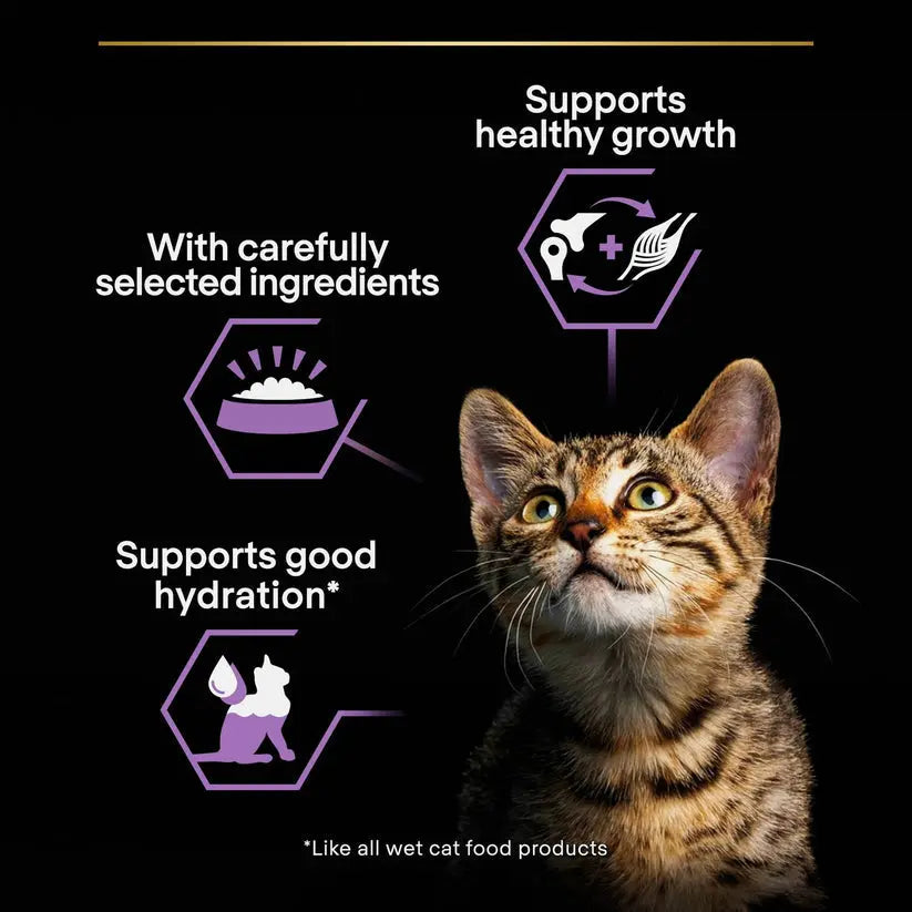 PURINA® PRO PLAN® KITTEN BABY MOUSSE CHICKEN WET FOOD PetFit.ae