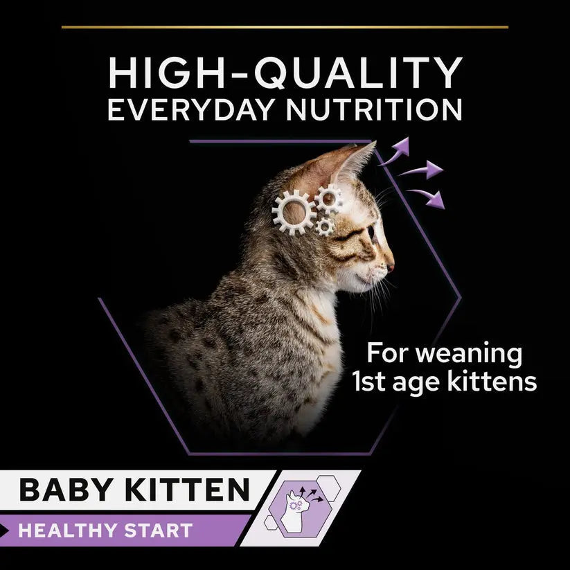PURINA® PRO PLAN® KITTEN BABY MOUSSE CHICKEN WET FOOD PetFit.ae