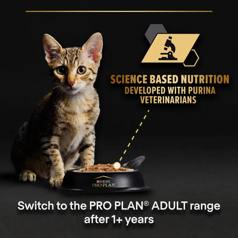 PURINA® PRO PLAN® KITTEN BABY MOUSSE CHICKEN WET FOOD PetFit.ae