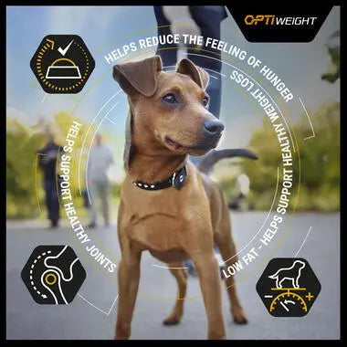 PURINA® PRO PLAN® ALL SIZES ADULT LIGHT / STERILISED WITH OPTIWEIGHT®, RICH IN CHICKEN DRY DOG FOOD PetFit.ae