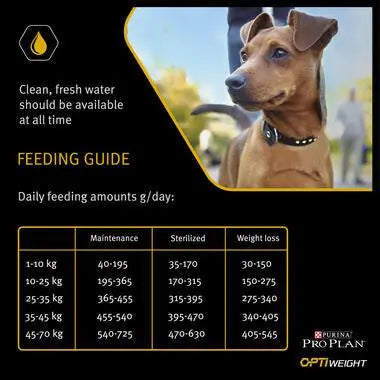 PURINA® PRO PLAN® ALL SIZES ADULT LIGHT / STERILISED WITH OPTIWEIGHT®, RICH IN CHICKEN DRY DOG FOOD PetFit.ae