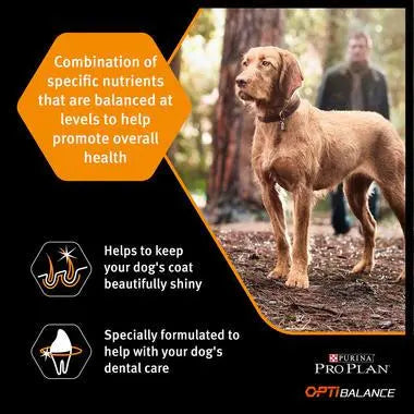 PURINA® PRO PLAN® DOG LARGE ROBUST ADULT WITH OPTIBALANCE™ RICH IN CHICKEN DRY FOOD 14KG PetFit.ae