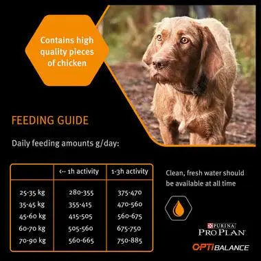 PURINA® PRO PLAN® DOG LARGE ROBUST ADULT WITH OPTIBALANCE™ RICH IN CHICKEN DRY FOOD 14KG PetFit.ae