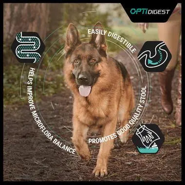 PURINA® PRO PLAN® DOG MEDIUM ADULT SENSITIVE DIGESTION WITH OPTIDIGEST® RICH IN LAMB DRY DOG FOOD PetFit.ae