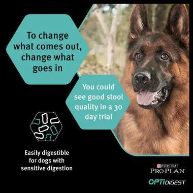 PURINA® PRO PLAN® DOG MEDIUM ADULT SENSITIVE DIGESTION WITH OPTIDIGEST® RICH IN LAMB DRY DOG FOOD PetFit.ae
