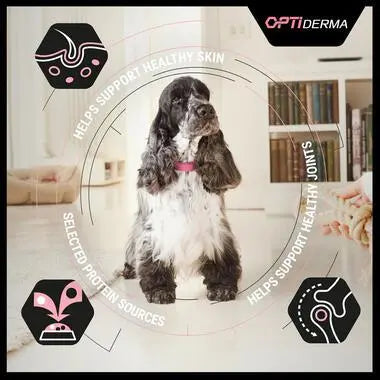 PURINA® PRO PLAN® DOG MEDIUM ADULT SENSITIVE SKIN WITH OPTIDERMA® RICH IN SALMON DRY FOOD PetFit.ae