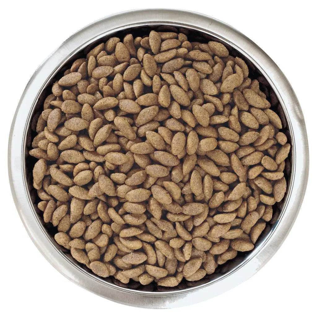 PURINA® PRO PLAN® DOG MEDIUM ADULT SENSITIVE SKIN WITH OPTIDERMA® RICH IN SALMON DRY FOOD PetFit.ae