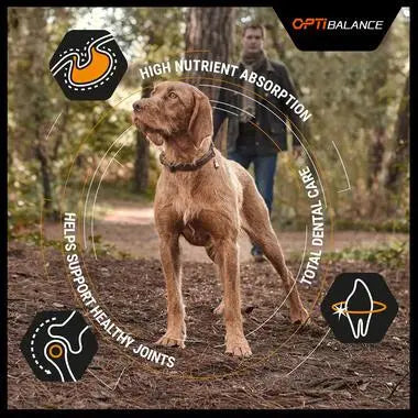 PURINA® PRO PLAN® DOG MEDIUM ADULT WITH OPTIBALANCE™ RICH IN CHICKEN DRY FOOD PetFit.ae