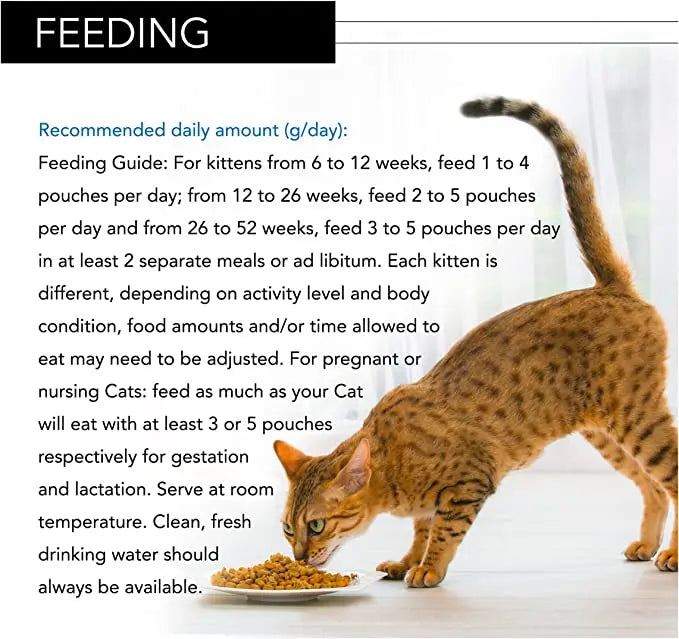 PURINA® PRO PLAN® KITTEN NUTRISAVOUR TURKEY IN GRAVY WET CAT FOOD, 85 GM PACK OF 26 Purina Pro Plan