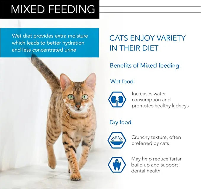 PURINA® PRO PLAN® KITTEN NUTRISAVOUR TURKEY IN GRAVY WET CAT FOOD, 85 GM PACK OF 26 Purina Pro Plan