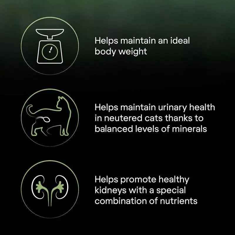 PURINA PRO PLAN LIVECLEAR STERILISED ADULT, RICH IN TURKEY DRY CAT FOOD 1.4 KG PetFit.ae