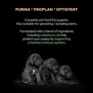 PURINA® PRO PLAN® MEDIUM PUPPY WITH OPTISTART® RICH IN CHICKEN DRY FOOD PetFit.ae