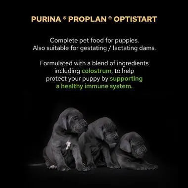 PURINA® PRO PLAN® SMALL & MINI PUPPY WITH OPTISTART®, RICH IN CHICKEN DRY DOG FOOD 3KG PetFit.ae
