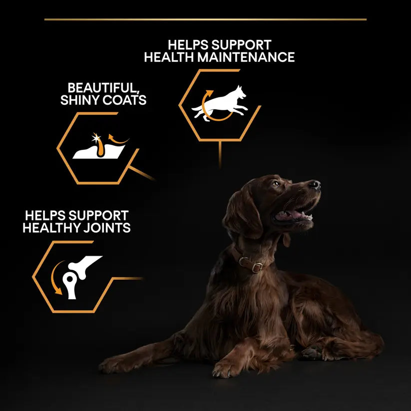 PURINA® PRO PLAN® DOG LARGE ATHLETIC ADULT WITH OPTIBALANCE™ RICH IN CHICKEN DRY FOOD 14 KG PetFit.ae