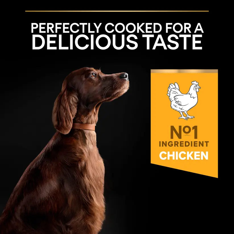 PURINA® PRO PLAN® DOG LARGE ATHLETIC ADULT WITH OPTIBALANCE™ RICH IN CHICKEN DRY FOOD 14 KG PetFit.ae