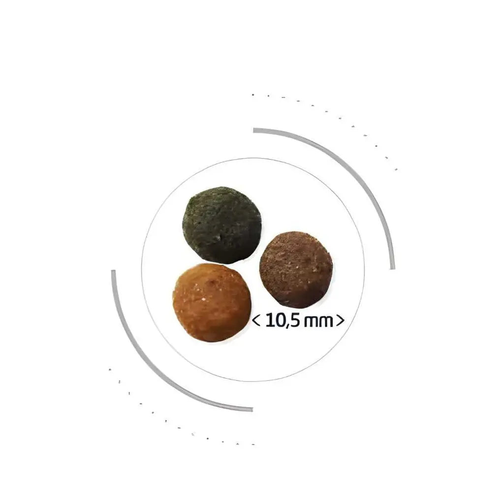 PRO NUTRITION PRESTIGE CAT ADULT MULTI Pro Nutrition