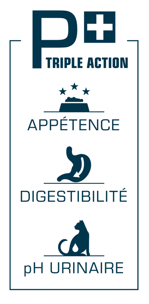 PRO NUTRITION PRESTIGE CAT ADULT MULTI Pro Nutrition