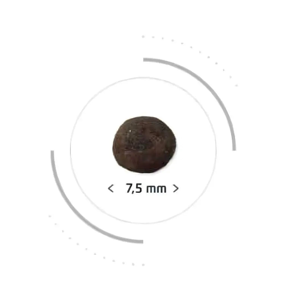 PRO NUTRITION PRESTIGE KITTEN WITH FISH Pro Nutrition