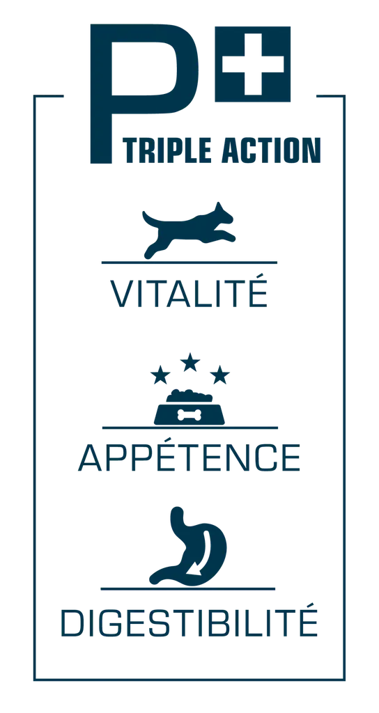 PRO NUTRITION PRESTIGE KITTEN WITH FISH Pro Nutrition