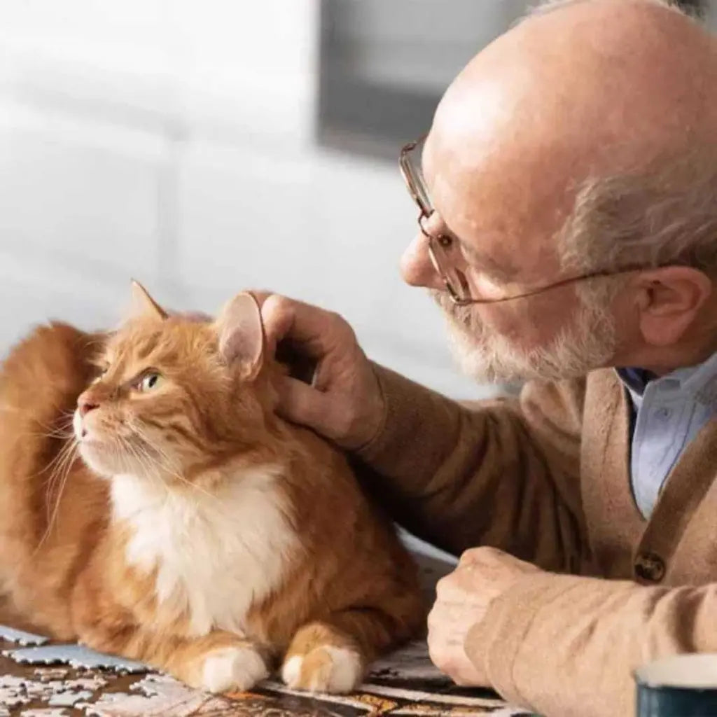 PRO NUTRITION PRESTIGE KITTEN WITH FISH Pro Nutrition