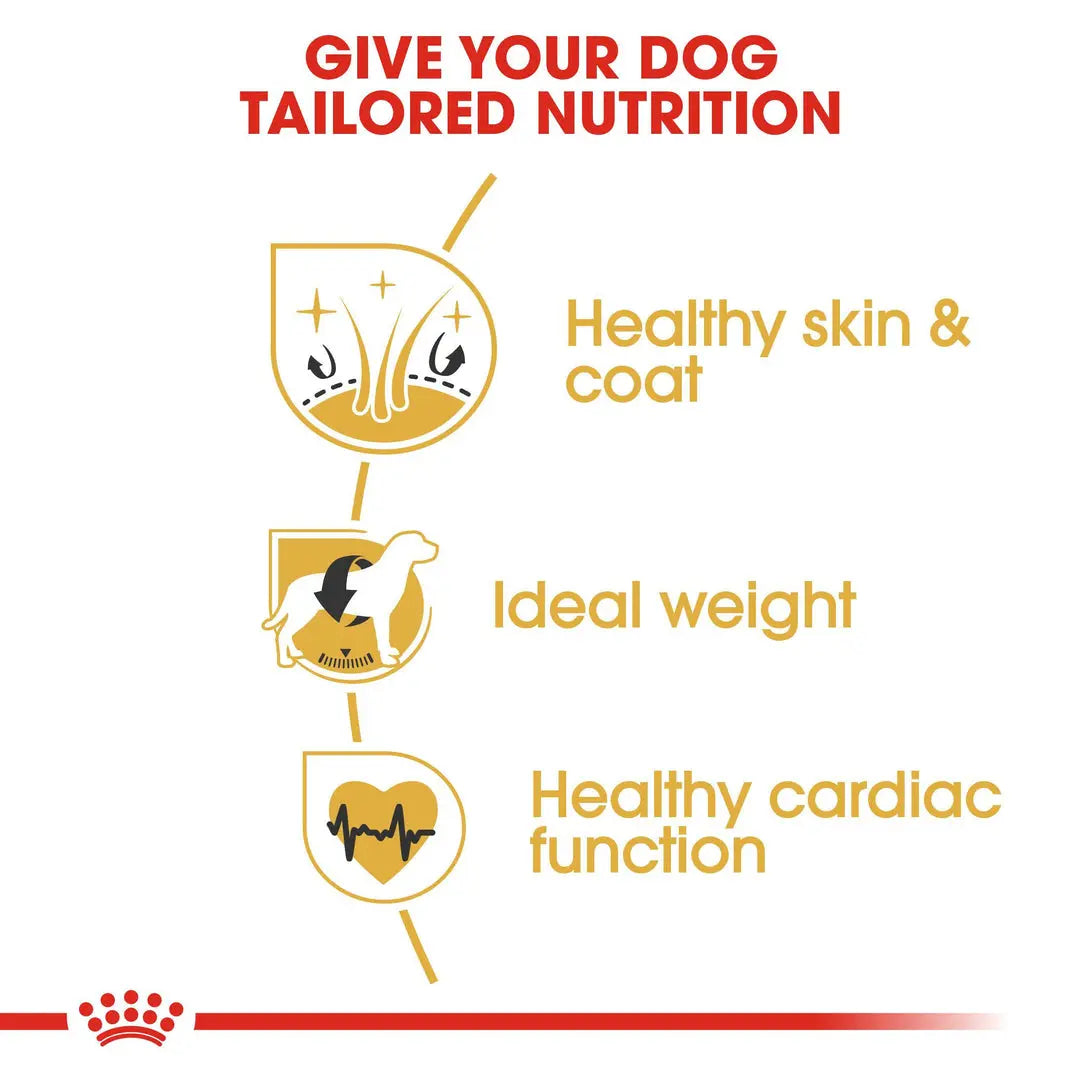 ROYAL CANIN BREED HEALTH NUTRITION COCKER ADULT 3 KG Royal Canin
