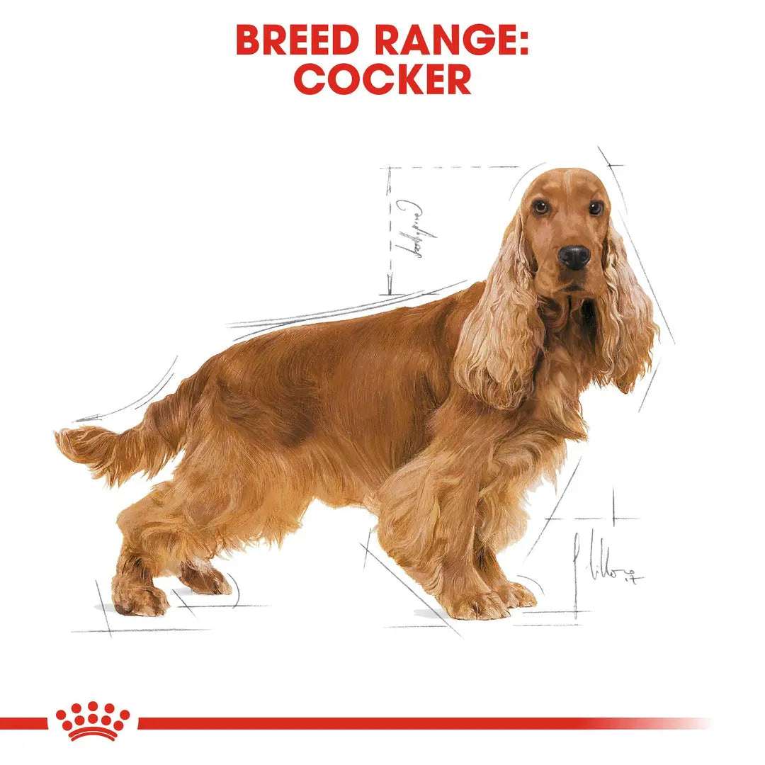 ROYAL CANIN BREED HEALTH NUTRITION COCKER ADULT 3 KG Royal Canin