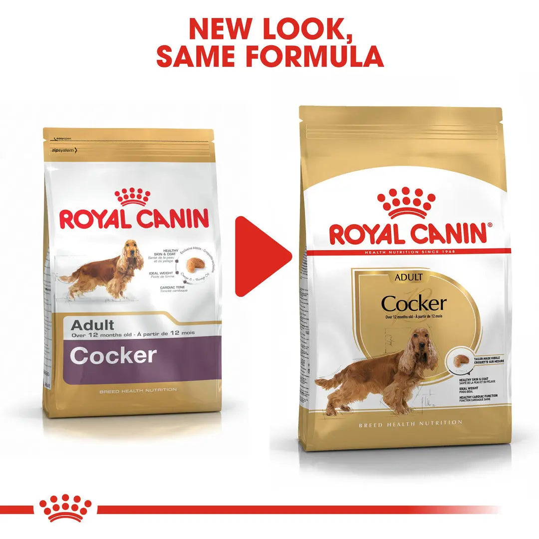 ROYAL CANIN BREED HEALTH NUTRITION COCKER ADULT 3 KG Royal Canin