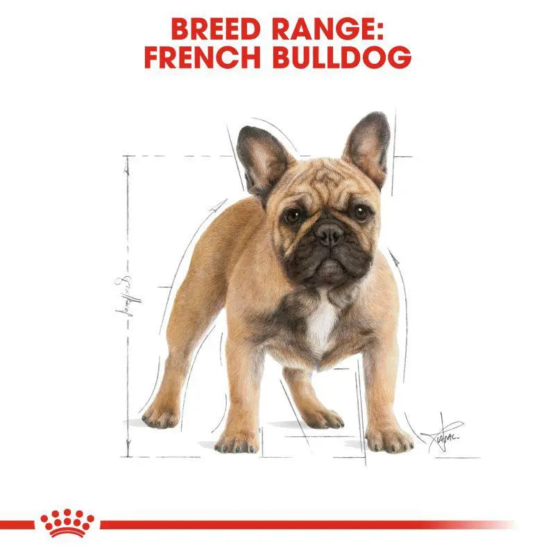 ROYAL CANIN FRENCH BULLDOG ADULT DRY DOG FOOD 3 KG Royal Canin