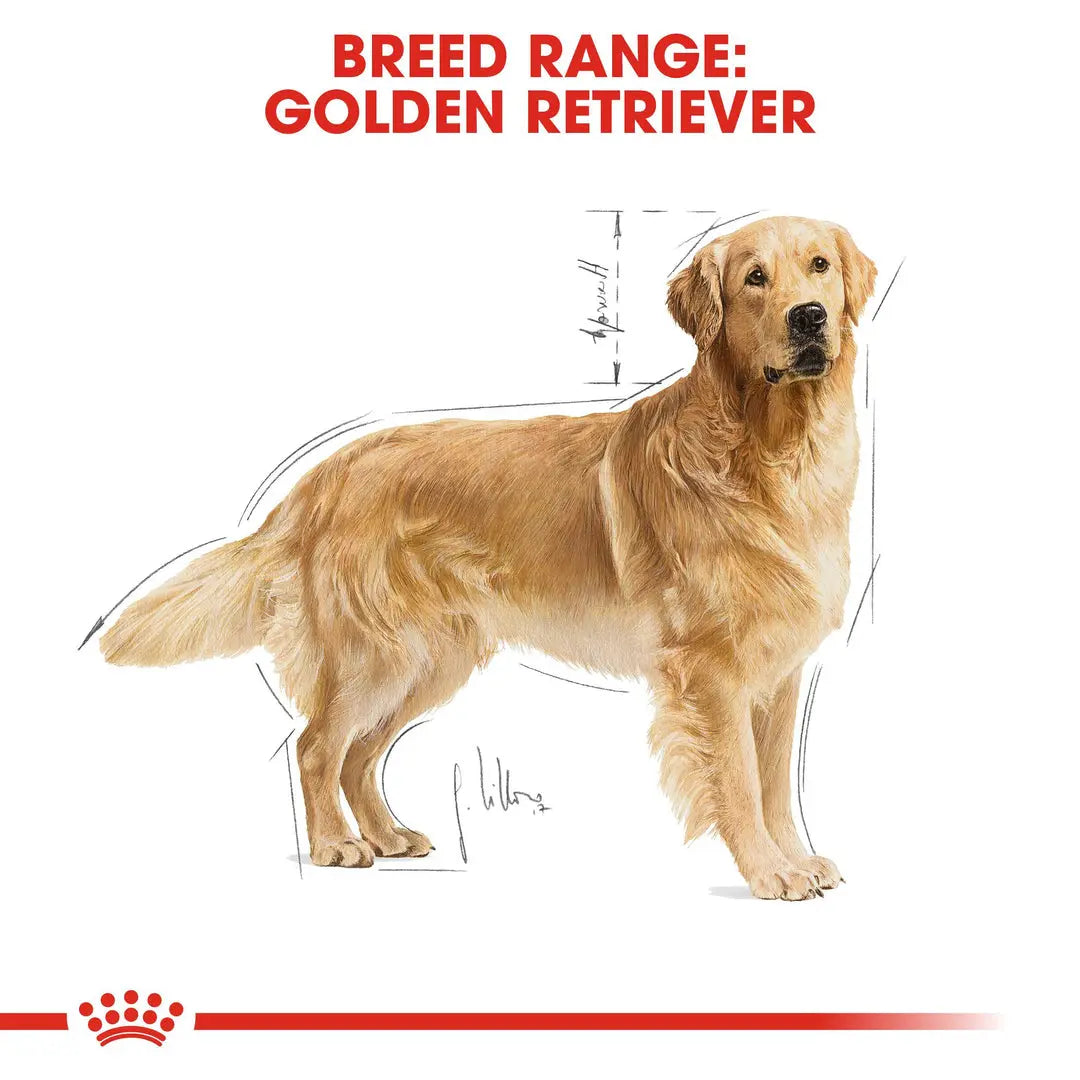 ROYAL CANIN BREED HEALTH NUTRITION GOLDEN RETRIEVER ADULT 12 KG Royal Canin