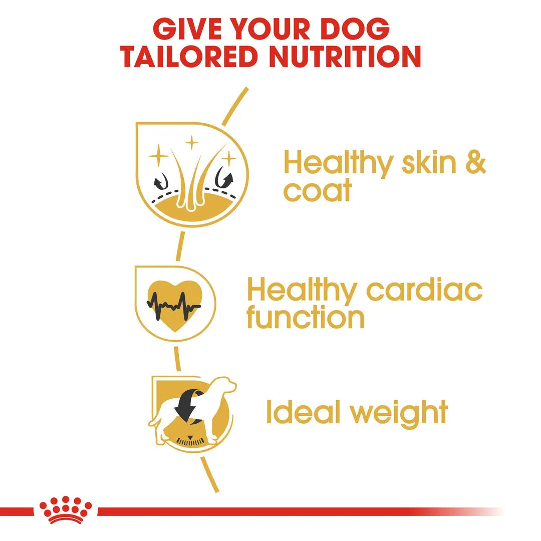 ROYAL CANIN BREED HEALTH NUTRITION GOLDEN RETRIEVER ADULT 12 KG Royal Canin