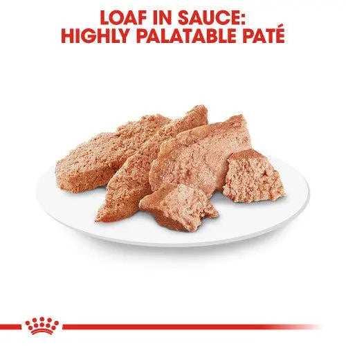 ROYAL CANIN BREED HEALTH NUTRITION POODLE ADULT WET FOOD POUCH, 85G Royal Canin